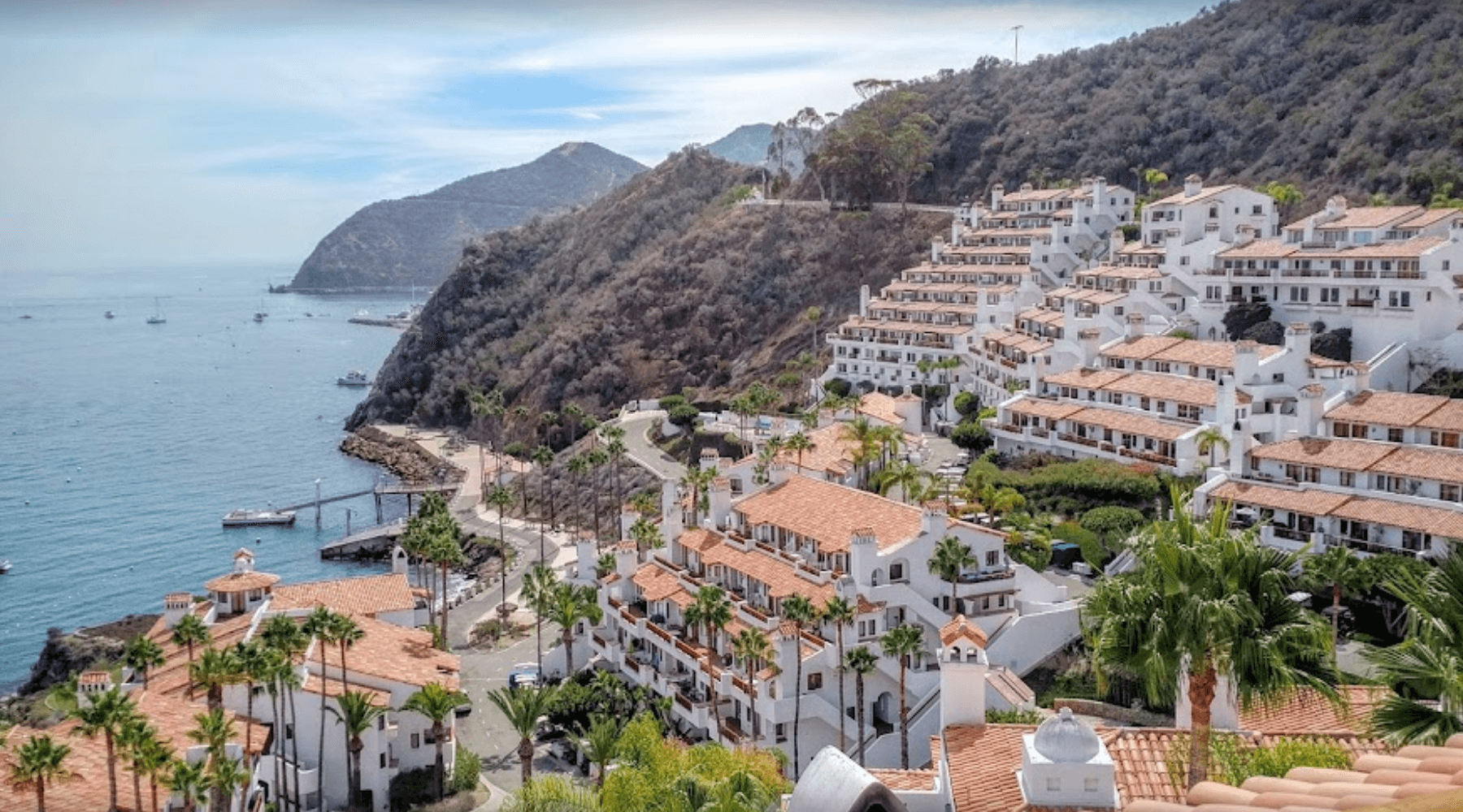 Hamilton Cove Catalina