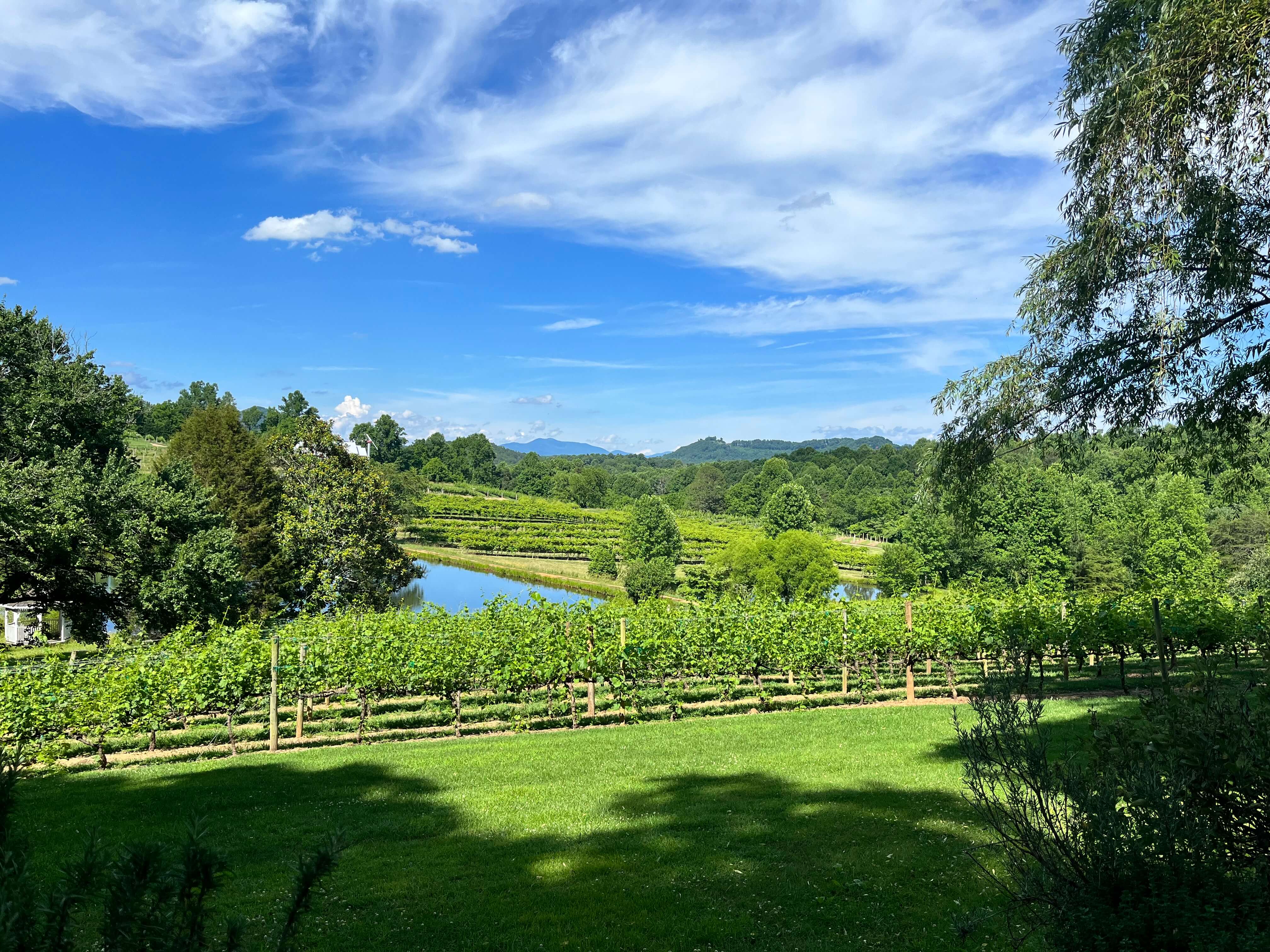 View from back patio