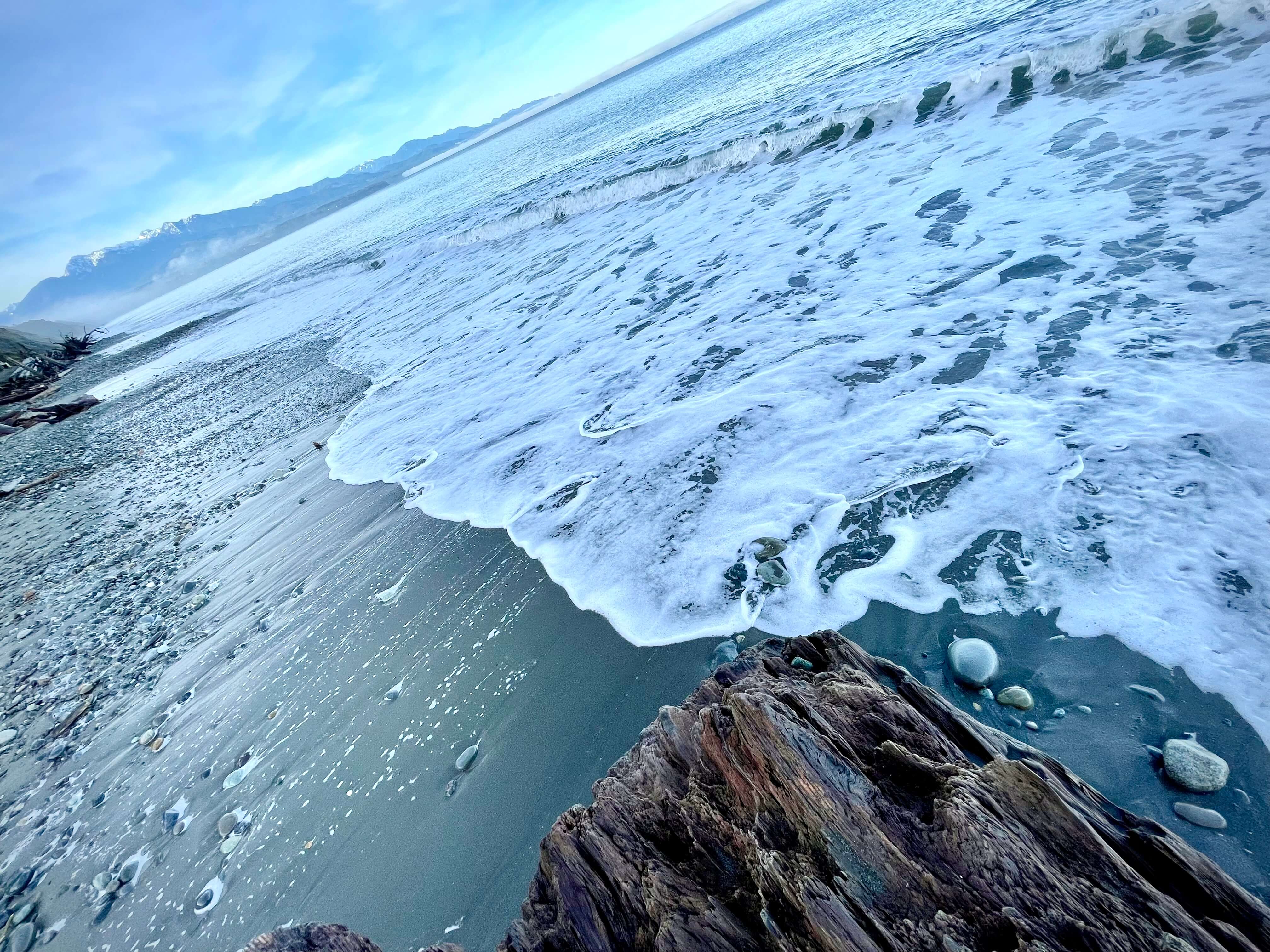 Dungeness Spit.