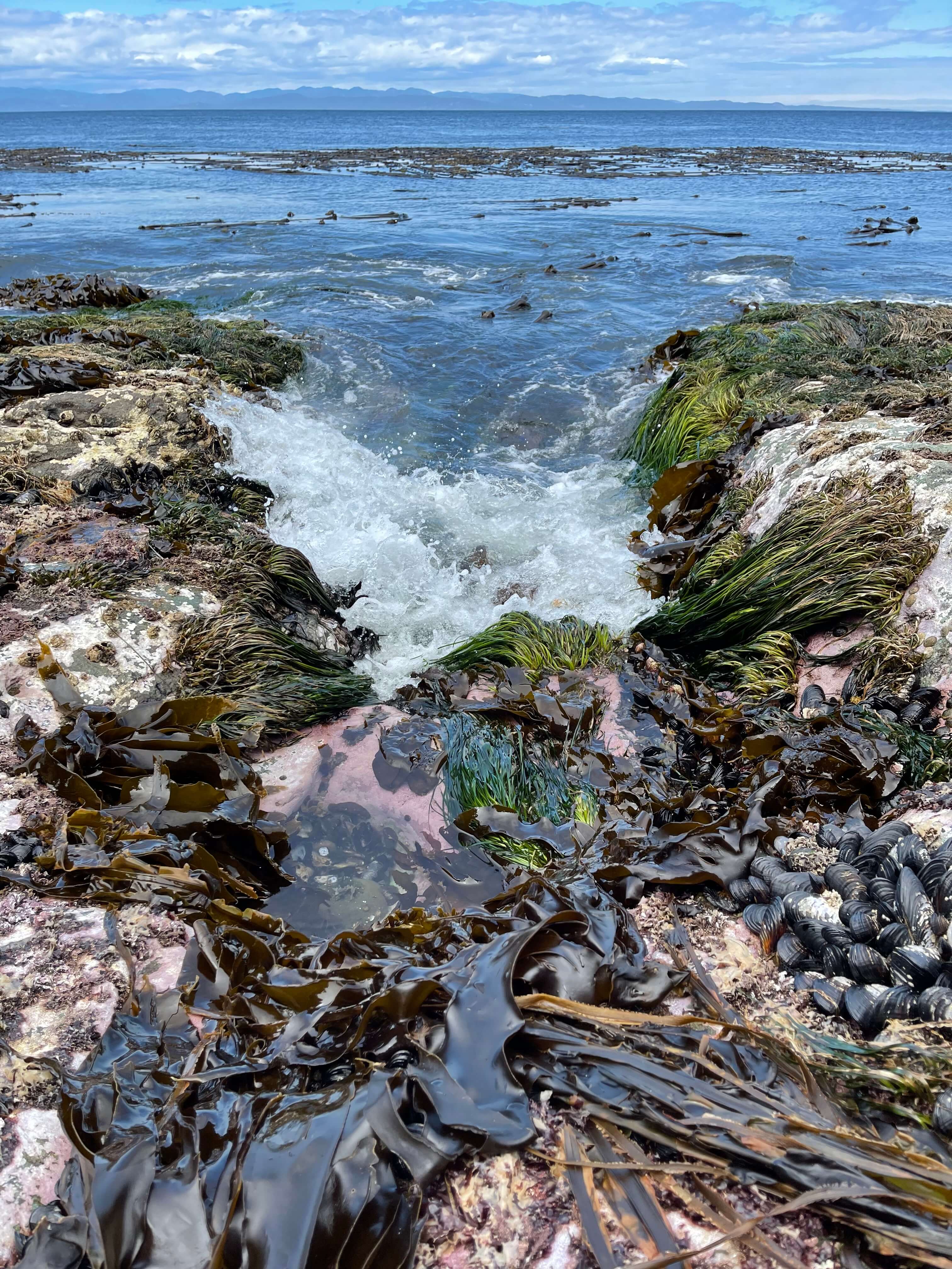 Salt Creek Recreation Area.