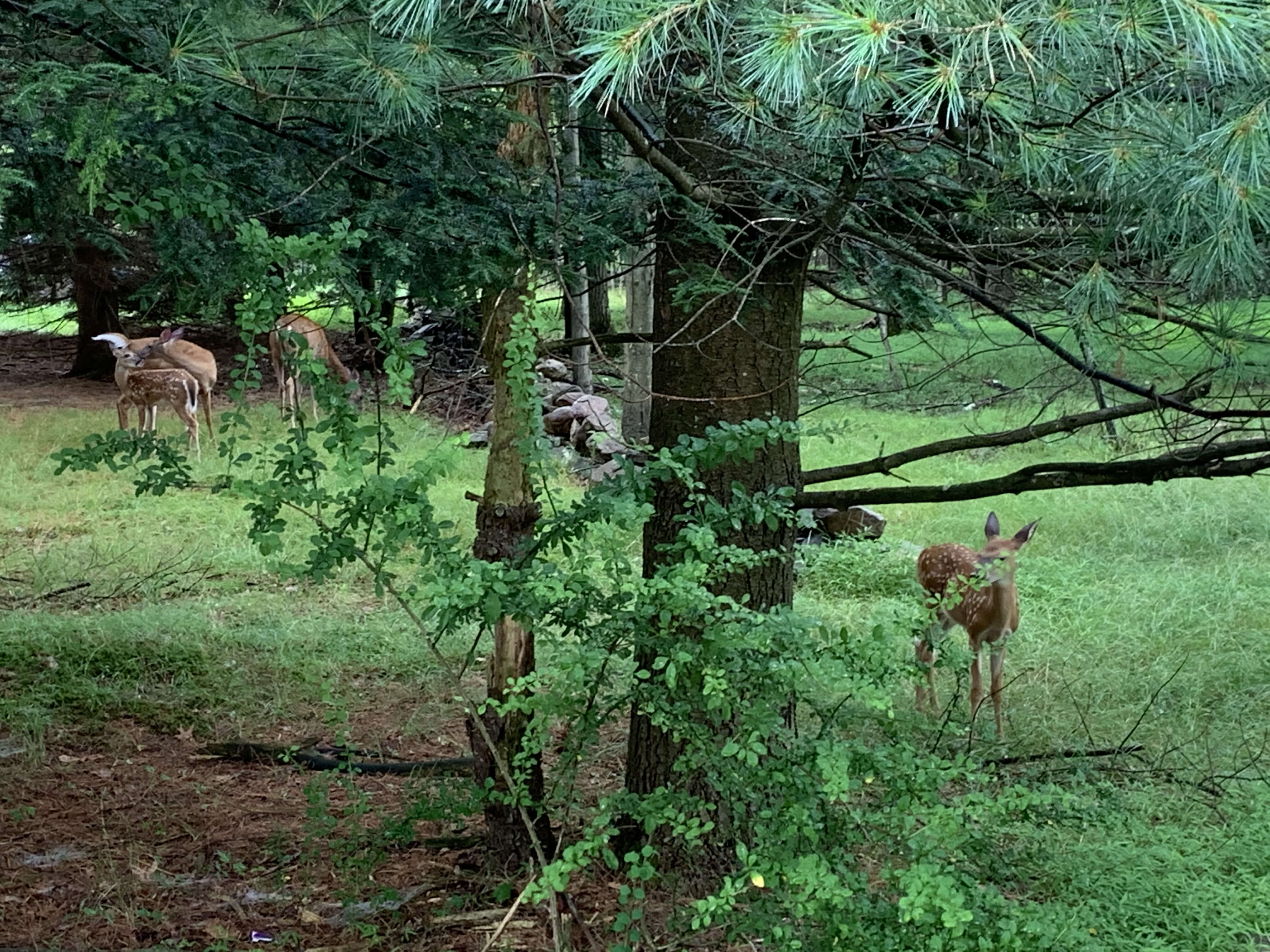 Mars Hill Vacation Rentals