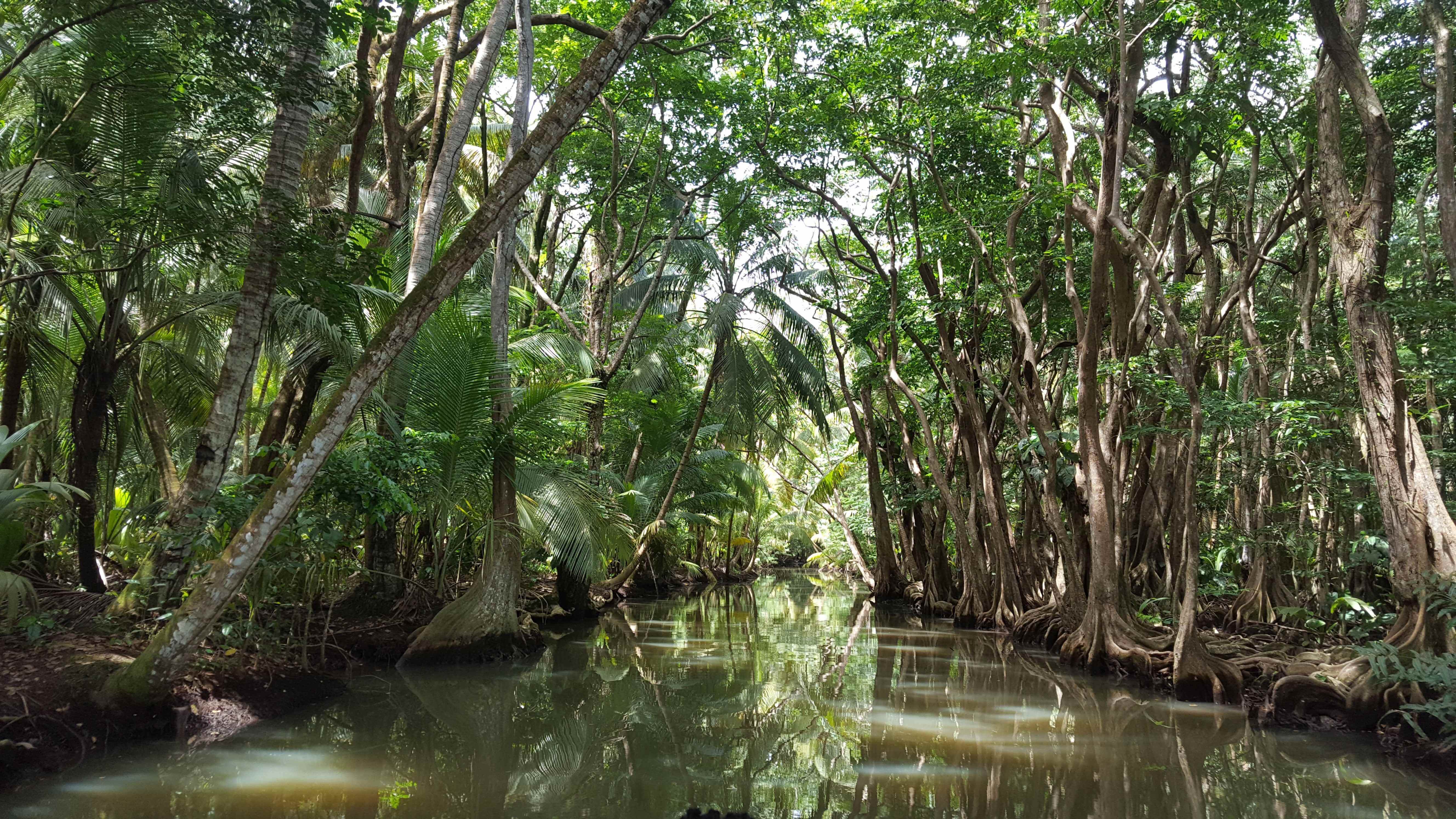 Indian River - Known for its diverse flora and fauna